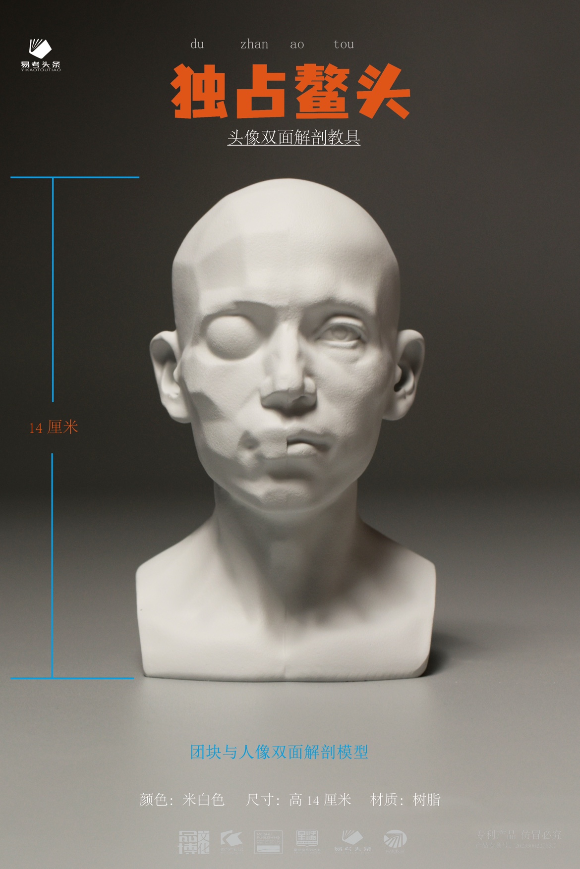 Sketching teaching aids skull plaster like a double face People's anatomical fine arts students writing raw tools Mini version optional-Taobao