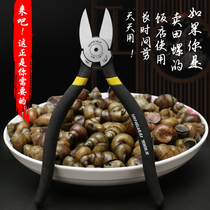 German Seiko screw-cutting artifact snail-cutting tail clip tail-cutting stone snail scissors pliers and tail removal tools