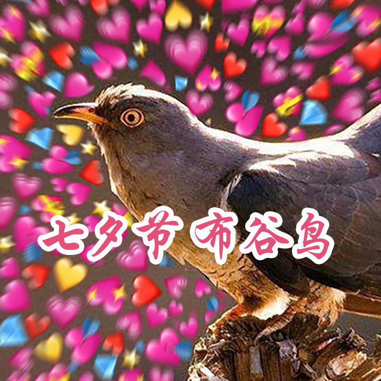 A special pat on the back of the difference