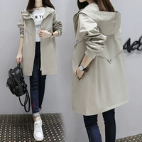 Абрикосовый цвет 【993#】