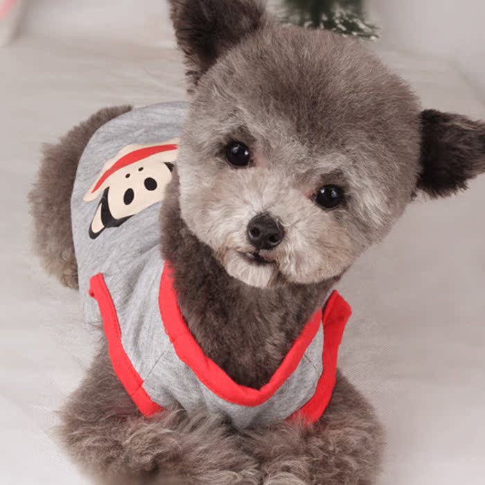 Quần áo chó và mèo Quần áo chó cưng Quần áo chó mùa hè Teddy gấu mùa xuân quần áo mùa thu - Quần áo & phụ kiện thú cưng áo poodle