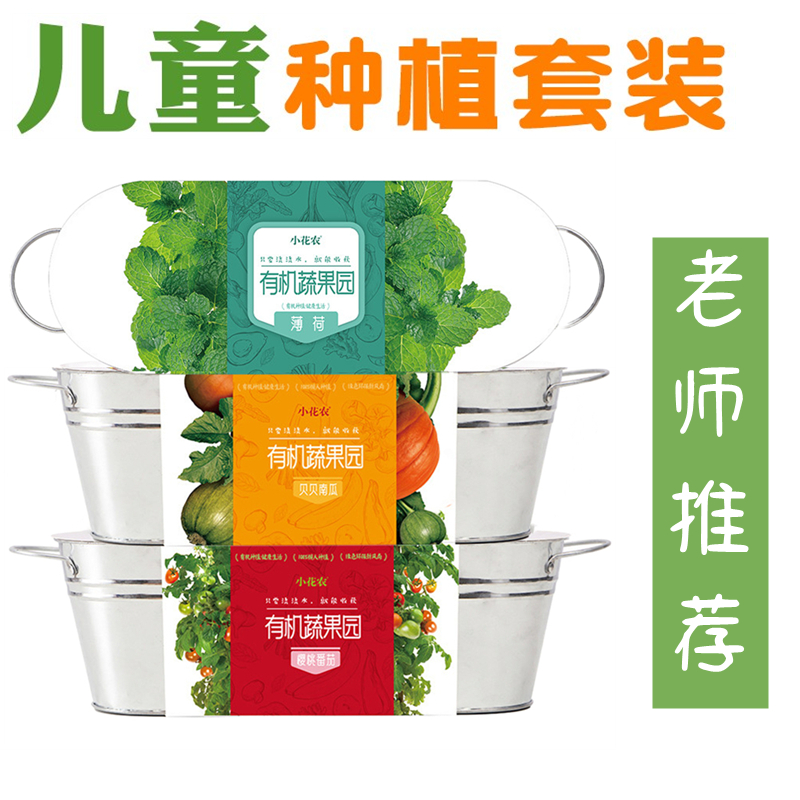 Preschool children planting small pot plant small flower farm seed germination and germination observation