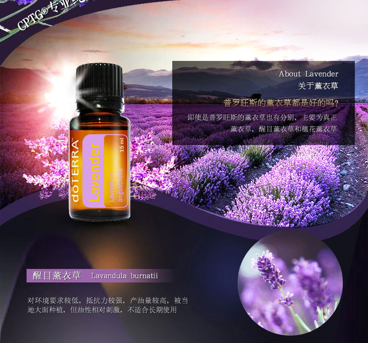 Mỹ chính hãng Dotray doTERRA tinh dầu oải hương nhập khẩu chống nhăn sửa chữa trợ giúp giấc ngủ đơn phương tinh dầu - Tinh dầu điều trị tinh dầu nho