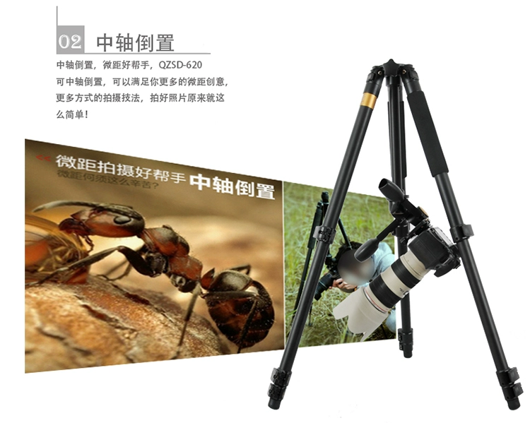 Q620 nhẹ kỷ nguyên vũ trang ba chiều đầu chân máy ảnh SLR chuyên nghiệp máy ảnh ghi DV camera tripod - Phụ kiện máy ảnh DSLR / đơn