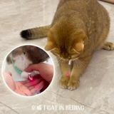 Умный автоматический чокер с лазером, автоматическая игрушка, кот, домашний питомец, избавление от скуки