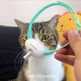 Умный автоматический чокер с лазером, автоматическая игрушка, кот, домашний питомец, избавление от скуки