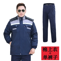 Тибетский синий с серым плече