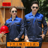 Обычный тибетский верхний плечо