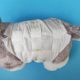 Male dog baby diapers can be changed into disposable diapers