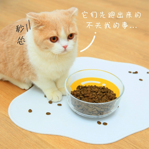 Purlab PAP PET Силиконовый силиконовый подушка против проката Ant -Slip влаги и водонепроницаемость, легко очистить кошку, легко чистить и укусить