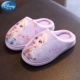 AY223401 ICE и Snow Purple