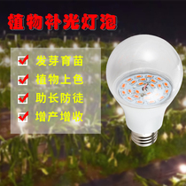 led plant growth fill light strawberry dragon fruit waterproof transparent bulb full spectrum flower seedling lamp