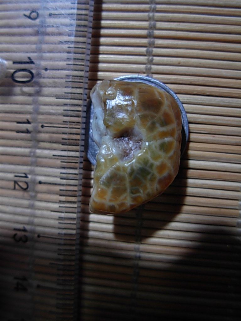 Blood meridian stone gluten vein Manau blood vein Manau blood vein stone original stone Gobi veins Manau raw stone ring face-Taobao