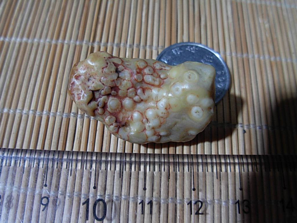 Gobi Kistler Raisin Agate Meridian Stone Vein Stone Necklace