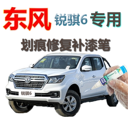 자체 스프레이 Kangbaike 원래 컬러 페인트