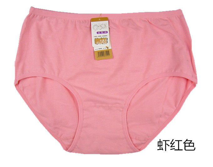 Slip simple en coton - Ref 644604 Image 28