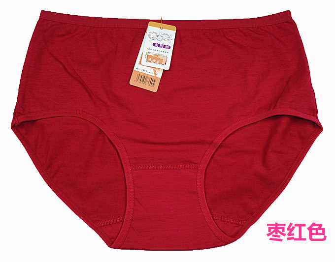 Slip simple en coton - Ref 644604 Image 38