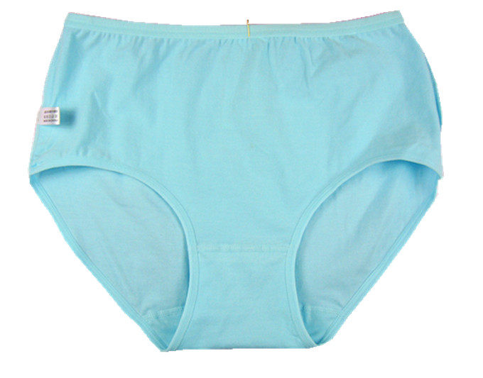 Slip simple en coton - Ref 644604 Image 24