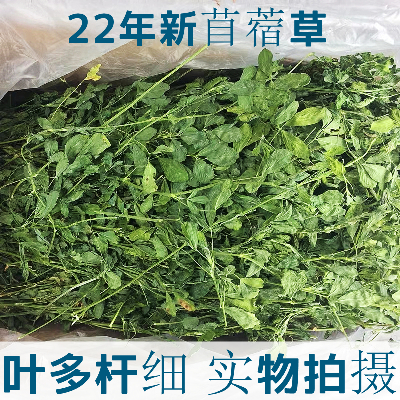 2022 Purple Flowers Clover Grass Dried Grass Rabbit Guinea Pig Dragon Cat Dutch Pig Hair Weighs 1000g Young Rabbit Herd Grass