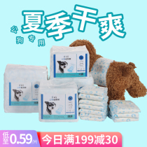 Pooch paper urine pants public dog special urine not wet teddy pet politeness with young dog Little mother dog ultra-thin male diaper pants