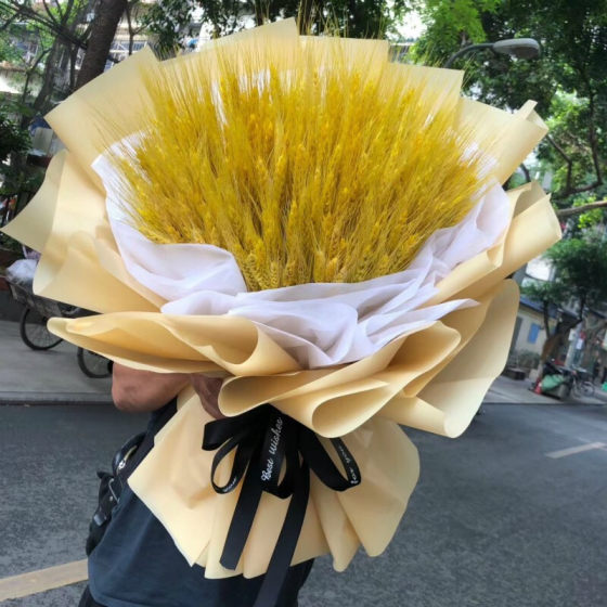 Opening barley flower basket flowers a pair of tripods same city courier opening housewarming send Guangzhou Shenzhen Nanyang Zhengzhou