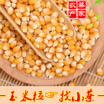 Popcorn special corn grain 500g burst butterfly corn commercial cinema KTV dedicated popcorn raw material
