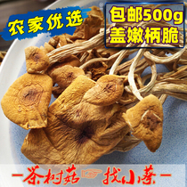 New farm high-quality tea tree mushroom dried goods open umbrella tender cover tender handle crispy 500g farm mushroom dried goods