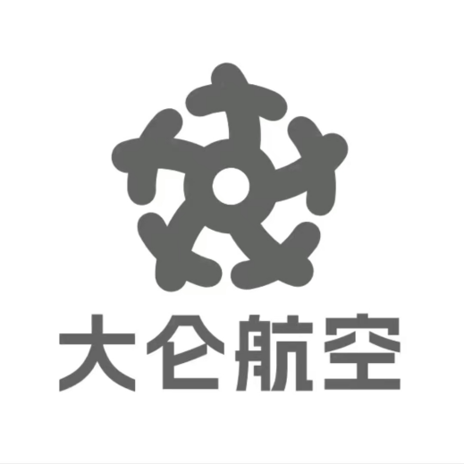 大仑航空总店