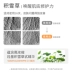 Mặt nạ dưỡng ẩm và dưỡng ẩm Beibei Shu Centella Asiatica Sửa chữa và làm sáng màu da - Mặt nạ