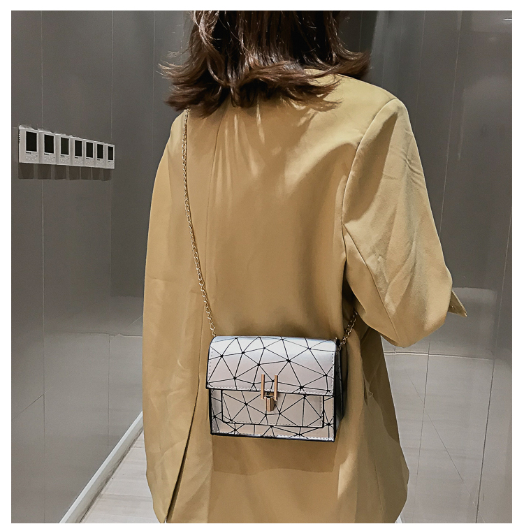 Bolso Pequeño De Verano Para Mujer 2020 Nuevo Bolso De Hombro Estilo Hong Kong Que Combina Con Todo, Bolso Oblicuo Estilo Coreano, Elegante Bolso Cuadrado Pequeño Con Costura Láser display picture 34