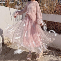  Fairy skirt super fairy mesh skirt spring and autumn skirt female 2021 new spring gauze skirt half skirt long skirt summer