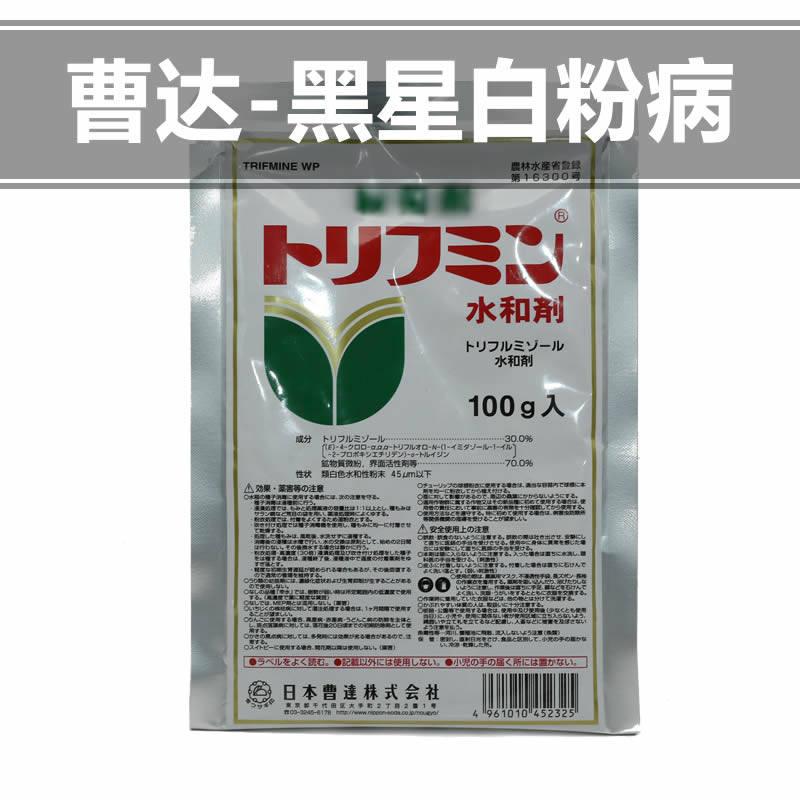 Japan imported caoda scab black spot powdery mildew rose rose orchid fleshy flower green plant vegetable