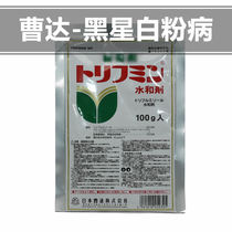 Japan imported Caoda scab black spot disease powdery mildew rose rose orchid fleshy flowers green plants