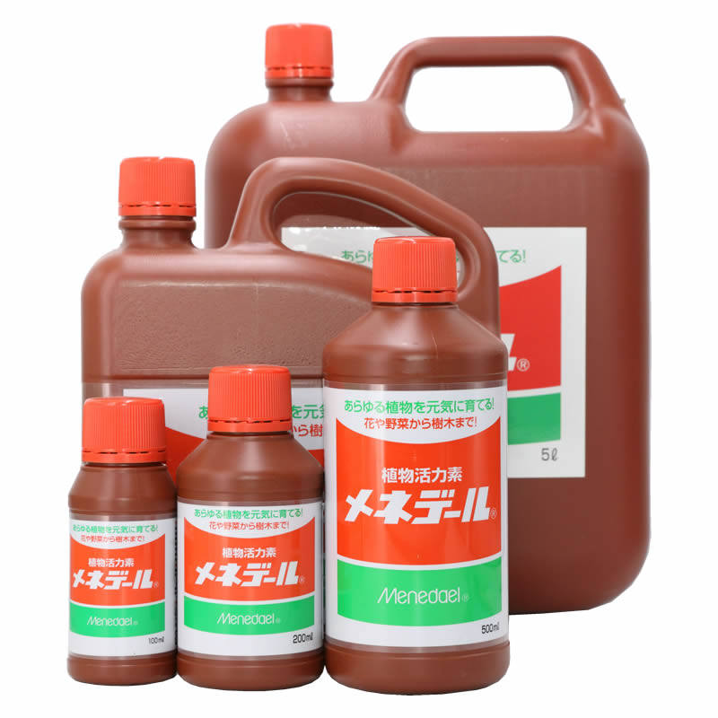 Japan imported Minenglu plant vitality succulent bonsai rose root germination color cutting sowing