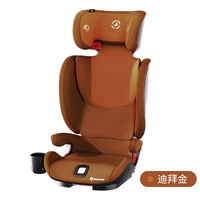 Rodifix Plus Dubai Gold