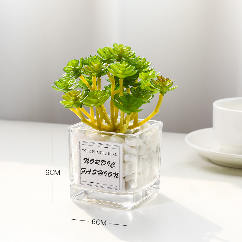 Xianren Granulesimulation Green plants small pot office desktop a decoration Mini cactus Succulent decorate artificial flower a living room Ornaments