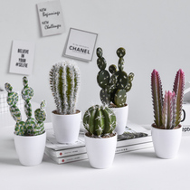 Creative ins Nordic home decorations fleshy cactus simulation plant potted ornaments office furnishings