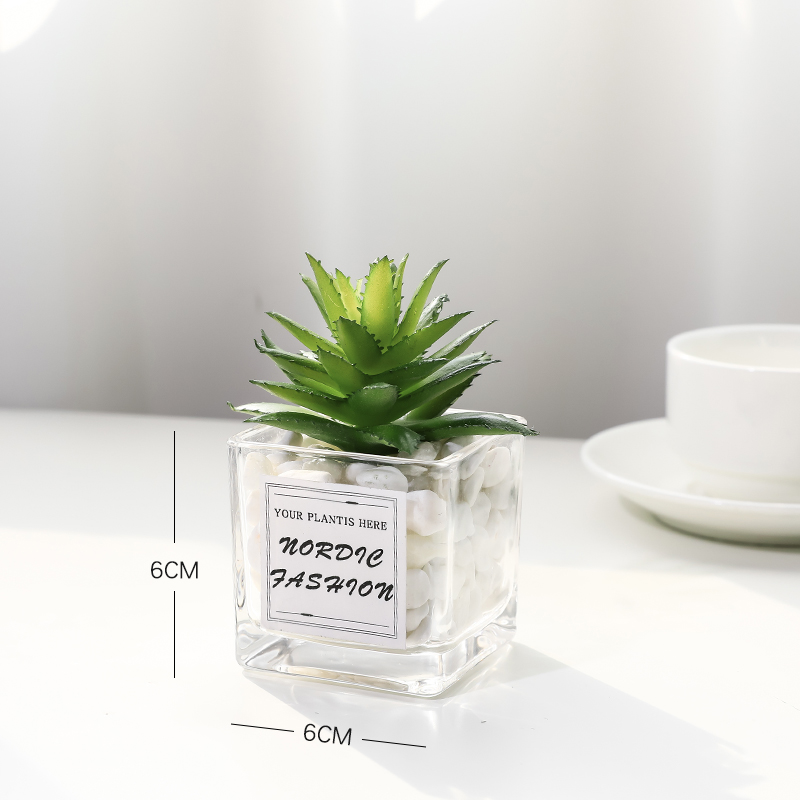 Edentulous Leafsimulation Green plants small pot office desktop a decoration Mini cactus Succulent decorate artificial flower a living room Ornaments