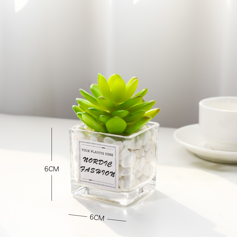 Baoshiliansimulation Green plants small pot office desktop a decoration Mini cactus Succulent decorate artificial flower a living room Ornaments