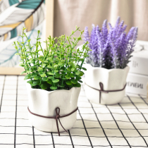 Simulation plant simulation green plant set ornaments fake grass small potted living room furnishings desktop living room home decorations