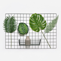 Creative ins Nordic leaf home wall decorations simulation turtle back leaf flower arrangement green plant wall decoration