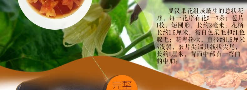 罗汉果花详情_04