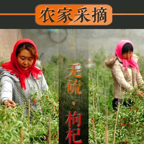 恋飘飘 Qinghai Nuo Muhong Red Wolfberry 250G Специальная оценка Grand Granit Pure Gou Natural Flower Tea