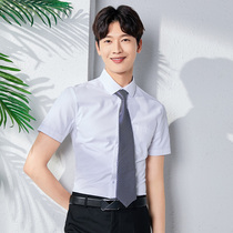 Short-sleeved white shirt mens summer thin section gray square collar striped high-end non-ironing business casual shirt