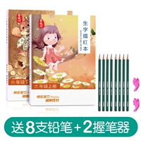 Второй класс вверх и вниз [200 страниц, чтобы отправить 8 карандашных учебных изданий Синхронизация учебника]