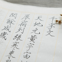 Thousands of characters in small block letters with a copy of a copy of a copy of a copy of a calligraphy paper depicting red adult calligraphy starter Song Huizong Thin gold body