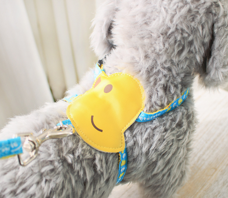 Spring and summer than bear chest Teddy Pet Dog Traction Rope Out Cat Ultra-small Tea Cup Dog Workline Walking Dog Puppy