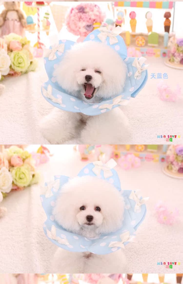 Vật nuôi mới Elizabeth ring mèo dog pet chống cắn vòng y tế làm đẹp mui xe chống mite vòng bảo vệ chống cắn - Cat / Dog hàng ngày Neccessities 	khay inox đựng thức ăn cho chó	