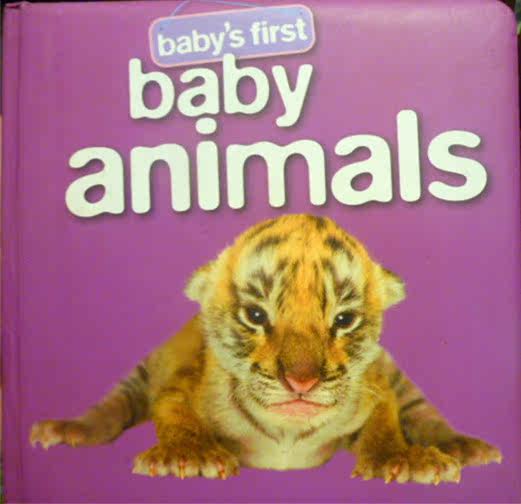 English version of toddler Baby Animals animal baby