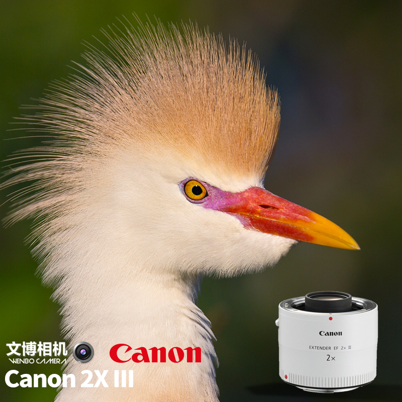 Canon Extender EF 2x III Zoom Lens 2-fold 3-generation distance mirror 2x iii Spot